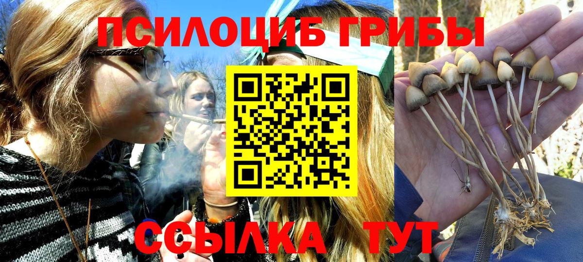 Комсомольск-на-Амуре  Галлюциногенные грибы ЛСД  Вход с VPN  Галлюциногенные грибы мухоморы 